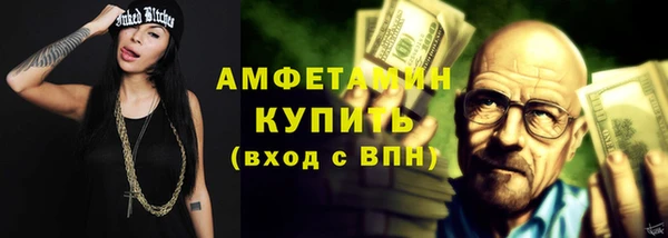 шишки Алексин