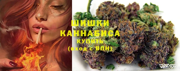 шишки Алексин