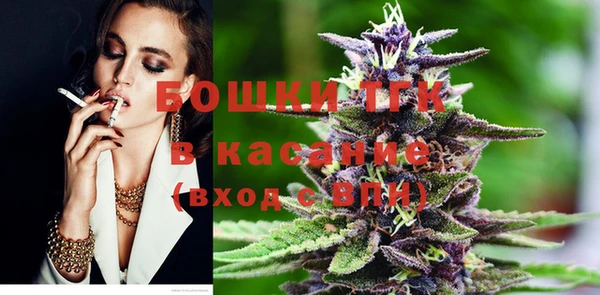 шишки Алексин