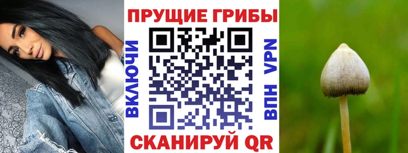 Псилоцибиновые грибы GOLDEN TEACHER Лысково